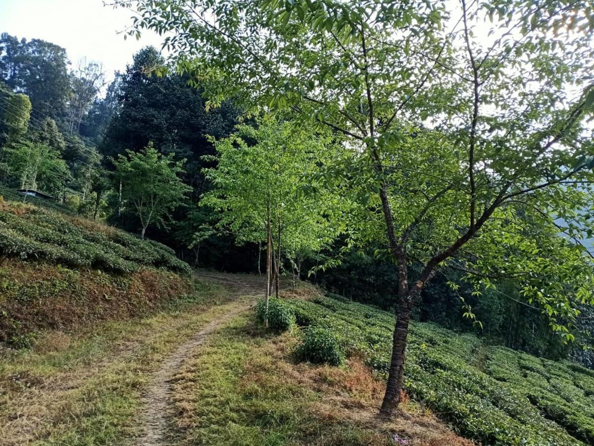 Joe'S Farm Vila Darjeeling  Exterior foto